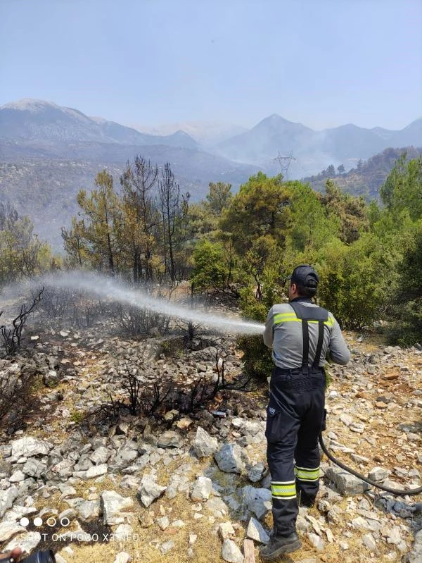 Son dakika haber | CEKUT gruplarından orman yangınlarıyla gayrete takviye