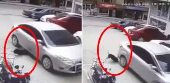 Korgan: İzleyenlerin içi sızladı! Köpeği göz göre göre ezip, arkasına bile bakmadan kaçtı Korgan: İzleyenlerin içi sızladı! Köpeği göz göre göre ezip, arkasına bile bakmadan kaçtı