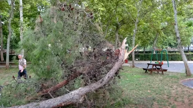 Kozan'da sağanak ve dolu yağışı tesirli oldu