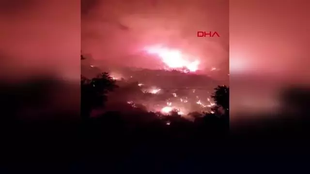 Son dakika haberleri... ORMAN YANGINI MİLAS'IN GÜRCEĞİZ KÖYÜ VE BAYIR MAHALLESİ'NDE ETKİLİ OLUYOR - 3
