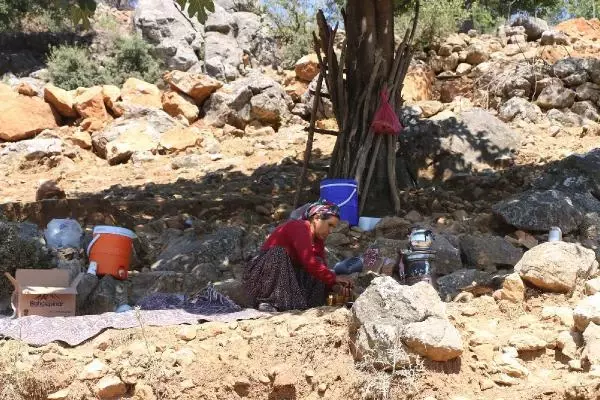 Orman yangınında konutlarıyla birlikte geçmişleri de yandı