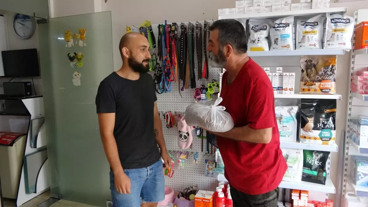 Son dakika... Orman yangınında yaralanan hayvanlar için Mersin'de kampanya başlatıldı