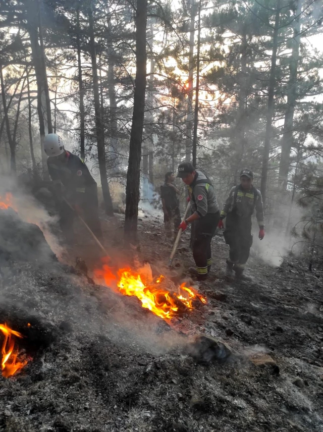 Son dakika! Orman yangınlarıyla çabaya CEKUT grupları de dayanak veriyor