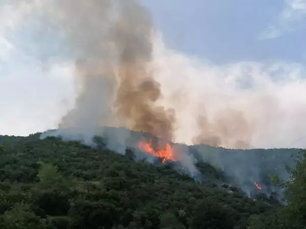 Osmaniye'de orman yangını