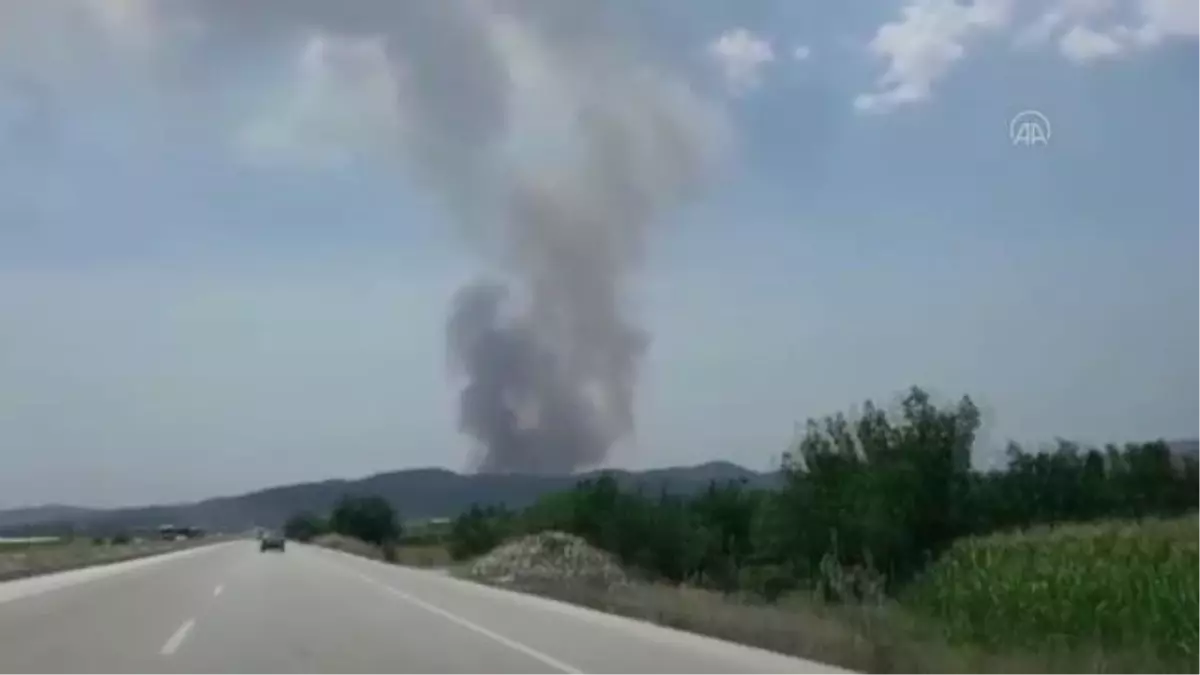Son dakika haber... Çıkan orman yangını kontrol altına alındı