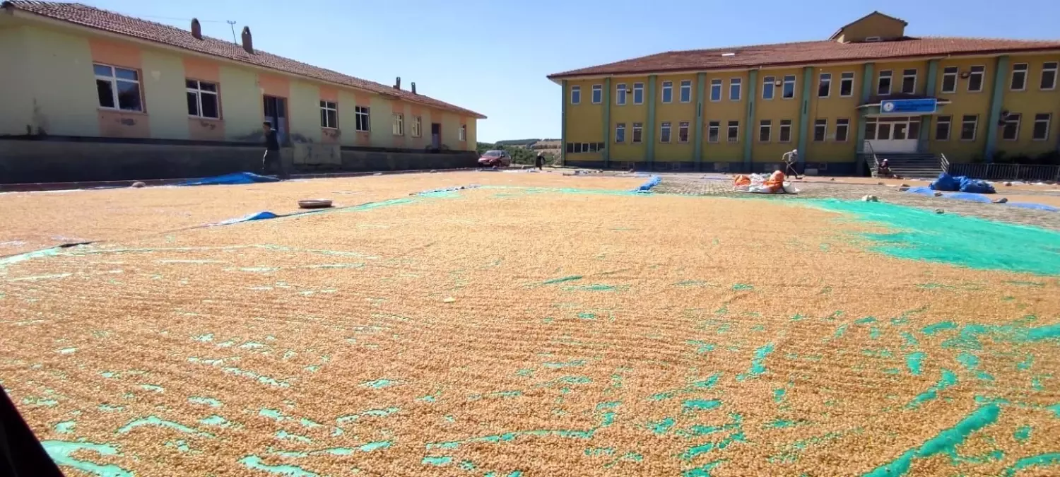 Yozgat'ta bulgur kazanları kaynamaya başladı
