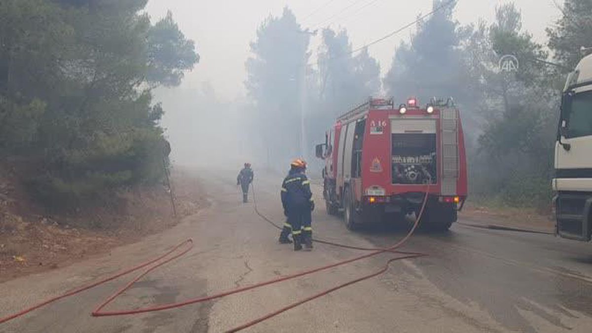 Yunanistan'da orman yangınlarını söndürme çalışmaları karadan ve havadan sürüyor