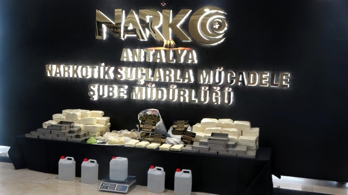 Antalya'da milyonlarca kağıda emdirilmiş bonzai yapımının önüne geçildi - Vimarsana News