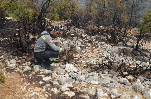 Antalya'daki yangını söndürür söndürmez soluğu Muğla'da aldılar! Orman savaşçılarının mücadelesi duygulandırdı