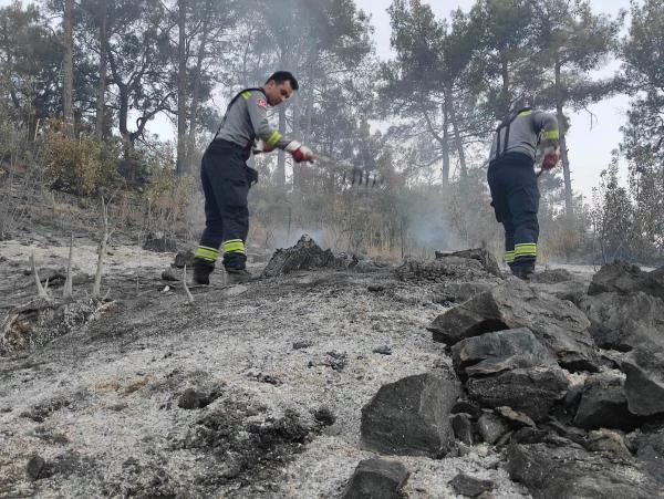 Antalya'daki yangınlarda soğutma çalışmaları sürüyor (3)