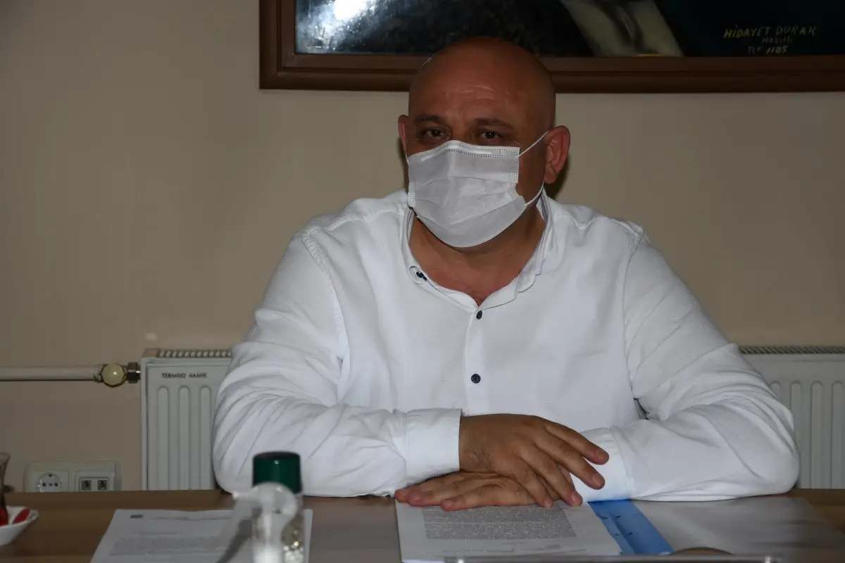 Buldan'da yanan ormanlık alanlar yeniden ağaçlandırılacak