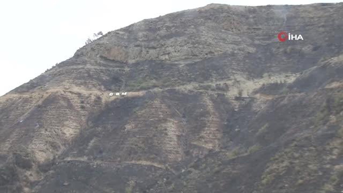 Karabük'teki orman yangınının izleri gün ağarınca böyle görüntülendi - Vimarsana News