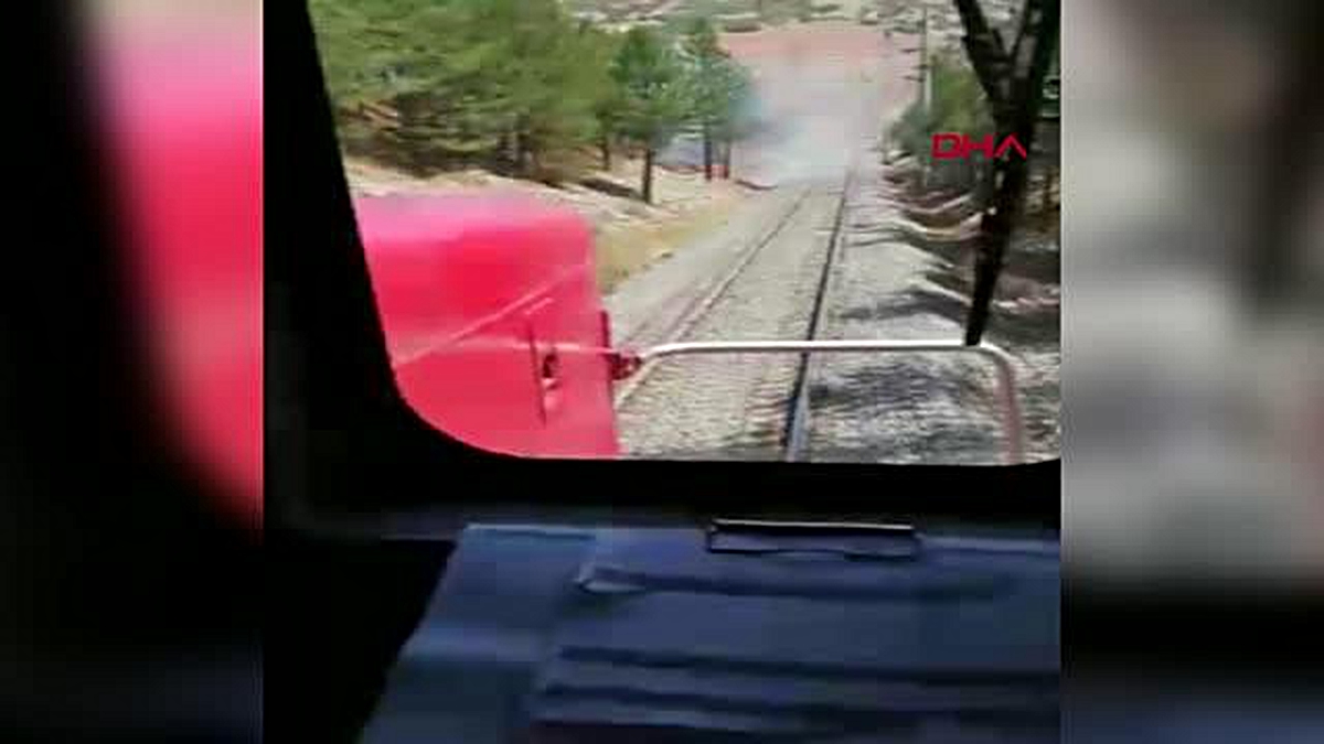 MAKİNİSTLER TRENİ DURDURUP, ORMAN ALANINDA YANGINI SÖNDÜRDÜ - Vimarsana News