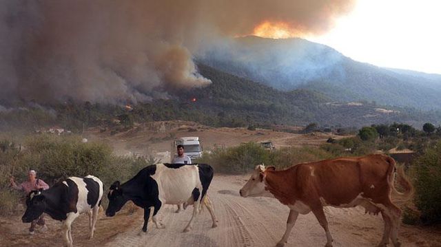 Muğla'dan Aydın'a sıçrayan yangın Çine'yi kül ediyor! 6 mahalle boşaltıldı, alevlere müdahale sürüyor