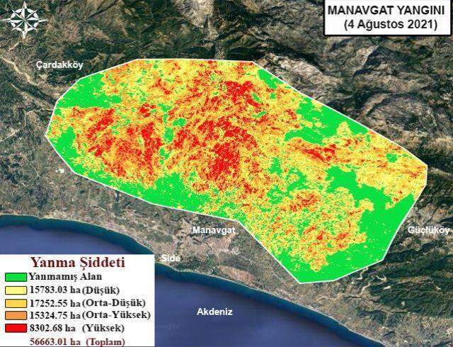 Yangında ne kadar alan yandı? Yangında kaç hektar alan yandı?