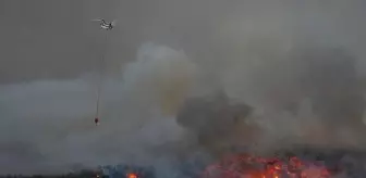231 yangın kontrol altına alındı, 7 noktada alevlerle mücadele ediliyor! İşte il il son durum