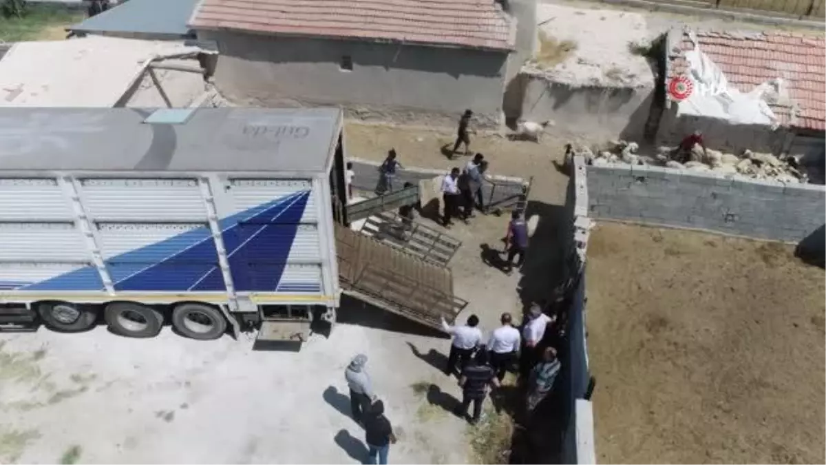 Aksaray'dan yangın bölgesine canlı hayvan desteği
