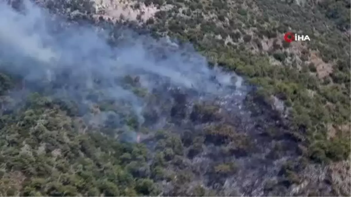 Bir yangın da Dalaman'da başladı
