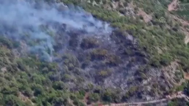Son dakika haber... Dalaman'da çıkan orman yangını kontrol altına alınmaya çalışılıyor (2)