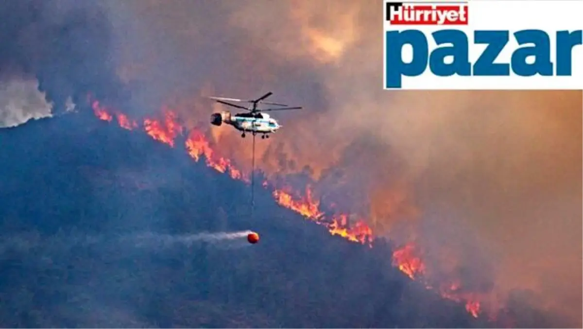Doğanın gerçekleriyle ezberimizdekiler farklı!