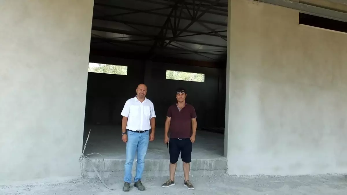 Edremit'te Çamlıbel zeytinyağında marka olacak