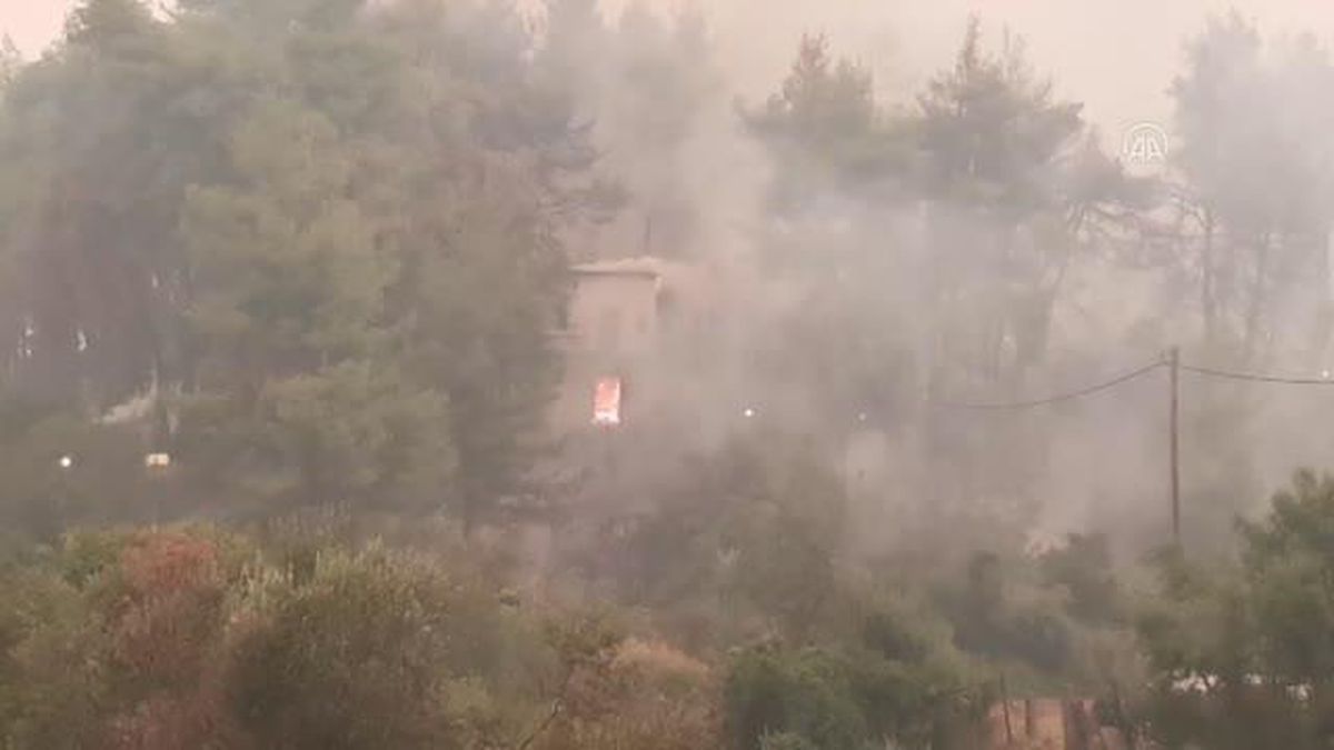 EVİA ADASI - Yunanistan'da orman yangınlarıyla mücadele devam ediyor (4)