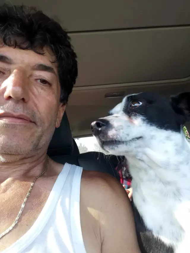 Kaybolan köpek için verilen para ödülü sokak hayvanlarına mama olarak döndü