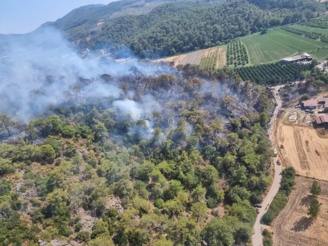 Son dakika haber... Dalaman'da çıkan orman yangını kontrol altına alınmaya çalışılıyor (2)