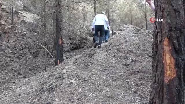 Orman mühendislerinin Kozan'da damgalama çalışmalarına başladı