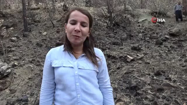 Orman mühendislerinin Kozan'da damgalama çalışmalarına başladı
