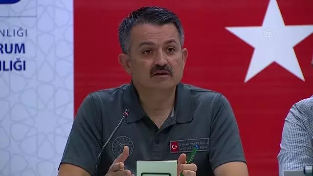 Ulaştırma ve Altyapı Bakanı Karaismailoğlu, Marmaris'te yangınlarla ilgili değerlendirmede bulundu Açıklaması