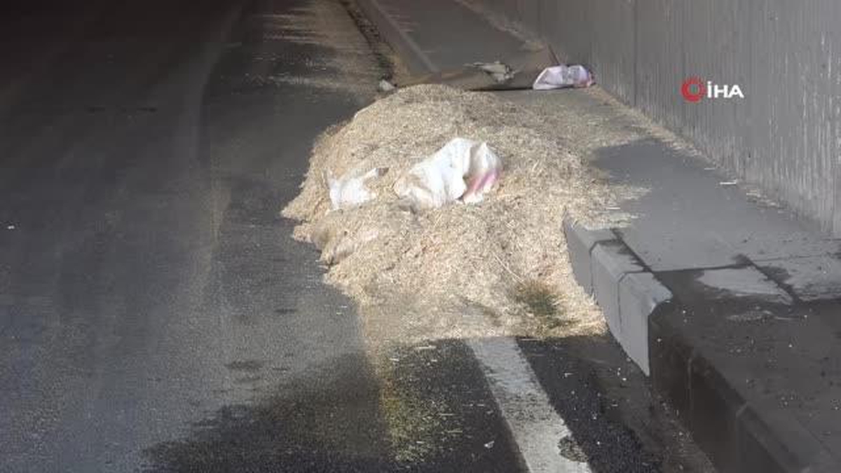 Saman yüklü kamyon alt geçide takıldı: Yola savrulan balyalar trafiği kilitledi - Vimarsana News