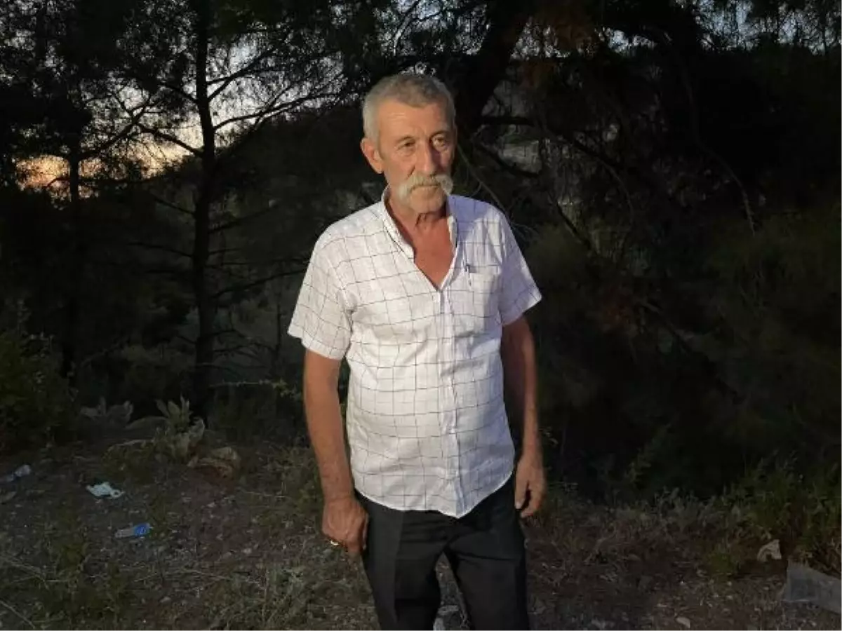 Son dakika haber | TÜRBE ZİYARETİNDEN DÖNEN KAFİLE KAZA YAPTI 6 ÖLÜ, 11 YARALI