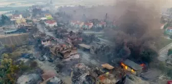 İbradı: Yangının acı bilançosu: 60 bin hektar kül oldu, en az 1 milyar TL'lik maddi kayıp İbradı: Yangının acı bilançosu: 60 bin hektar kül oldu, en az 1 milyar TL'lik maddi kayıp