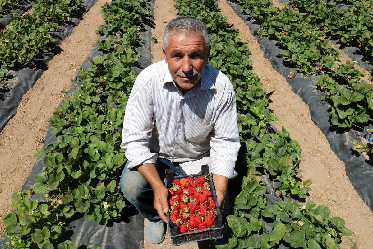 Yetiştiremezsin dediler, şimdi taleplere yetişemiyor - Vimarsana News