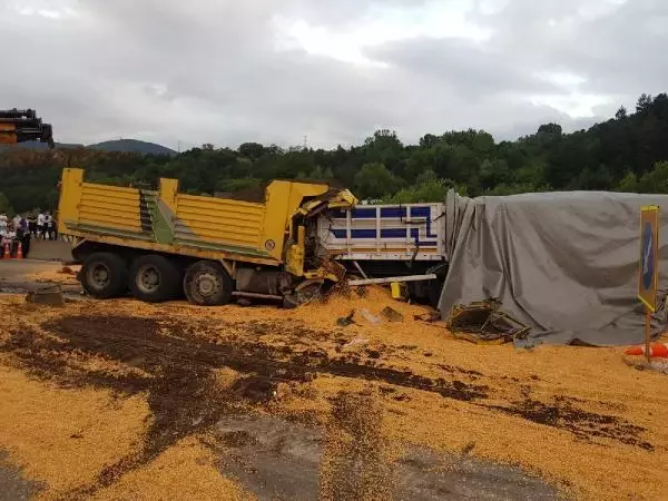 Son Dakika | TEM'de 3 TIR ile 1 kamyonun karıştığı kazada 1 kişi öldü, 2 kişi yaralandı (3)