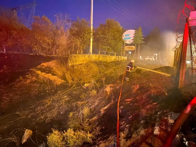 Diyarbakır'da ormanlık alanı ateşe veren 3 kişi yakalandı, alevler büyümeden söndürüldü