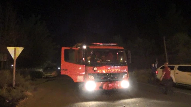 Diyarbakır'da ormanlık alanı ateşe veren 3 kişi yakalandı, alevler büyümeden söndürüldü