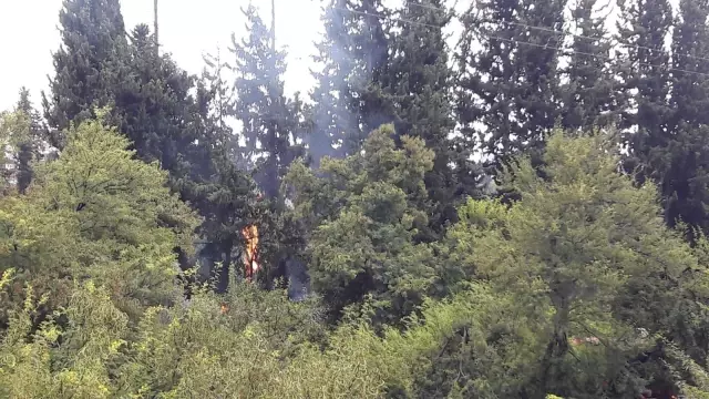 Bahçe yangını söndürüldü