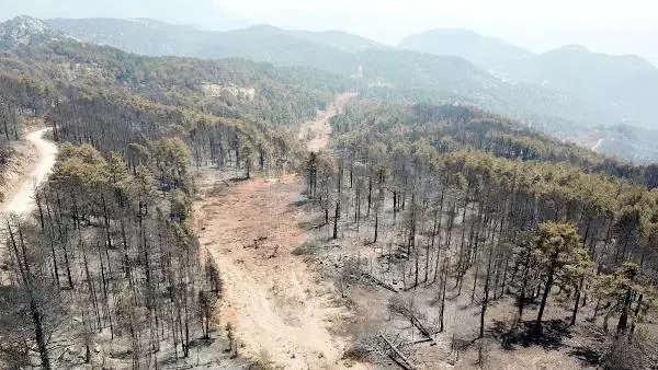 Son Dakika | Köyceğiz yangınında 12'nci gün; havadan müdahale sürüyor (2)