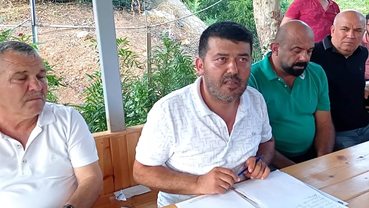 Kozan'da Narenciye Günlük Yevmiyesi 105 Lira