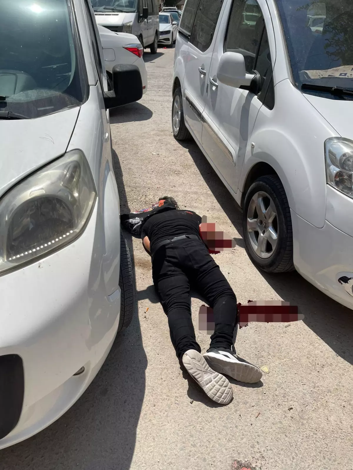 Son dakika haberleri | Mardin'de elindeki patlayıcıyı infilak ettirmeye çalışan bir terörist etkisiz hale getirildi