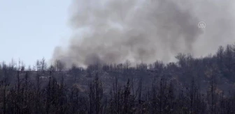 Menteşe'deki orman yangınlarından çoğu etkin mücadeleyle kontrol altına alındı