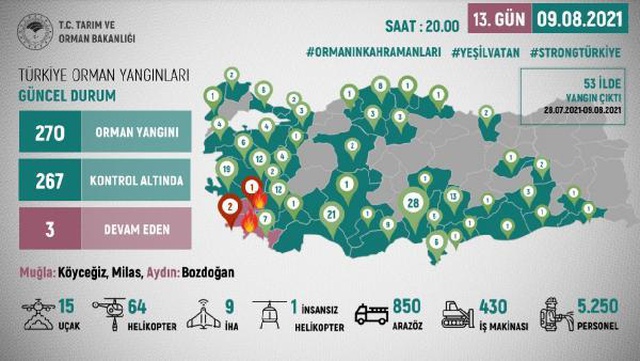 OGM: 270 orman yangınından 267'si kontrol altında OGM: 270 orman yangınından 267'si kontrol altında
