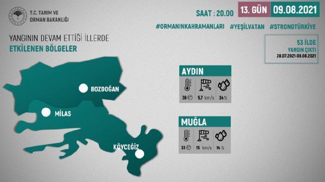 Ogm: 270 Orman Yangınından 267'Si Kontrol Altında 3 OGM: 270 orman yangınından 267'si kontrol altında