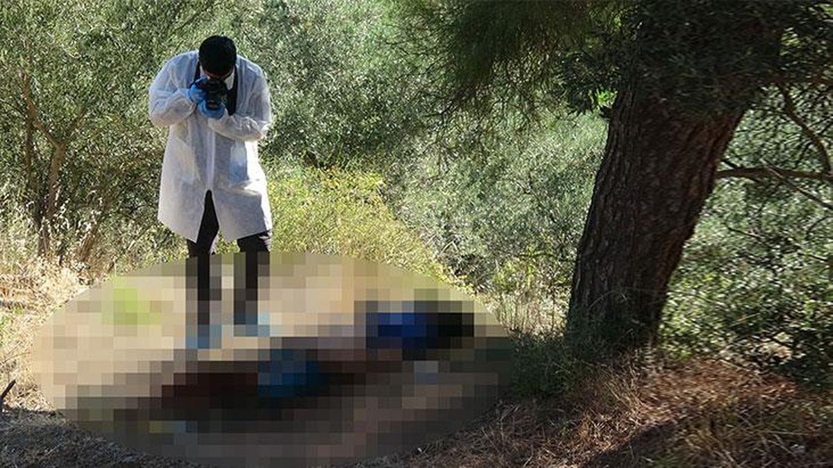 Ormanlık alanda hayvanlar tarafından parçalanmış bir cansız beden bulundu