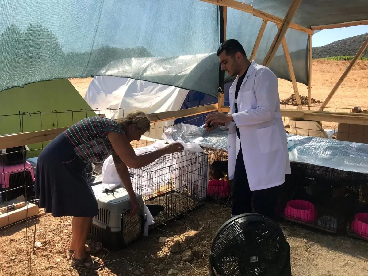 Son dakika haber | Patibüs yangın bölgelerinde