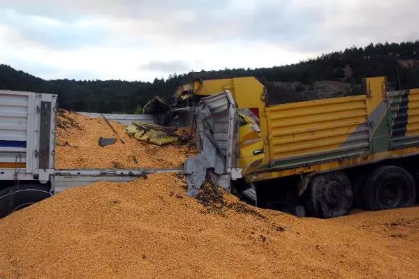 Son Dakika | TEM'de 3 TIR ile 1 kamyonun karıştığı kazada 1 kişi öldü, 2 kişi yaralandı (3)