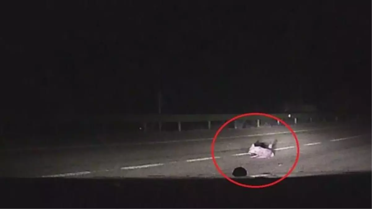 Aniden yola fırlayan çakal, otomobilin altında kaldı! O anlar kamerada