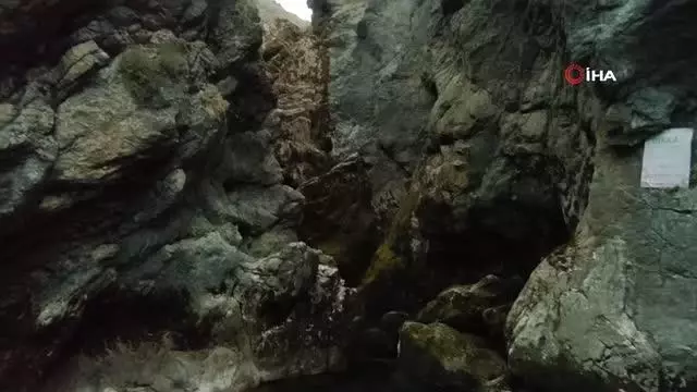 Çağlayan gibi akan Homurlu Şelalesi kuruma noktasına geldi